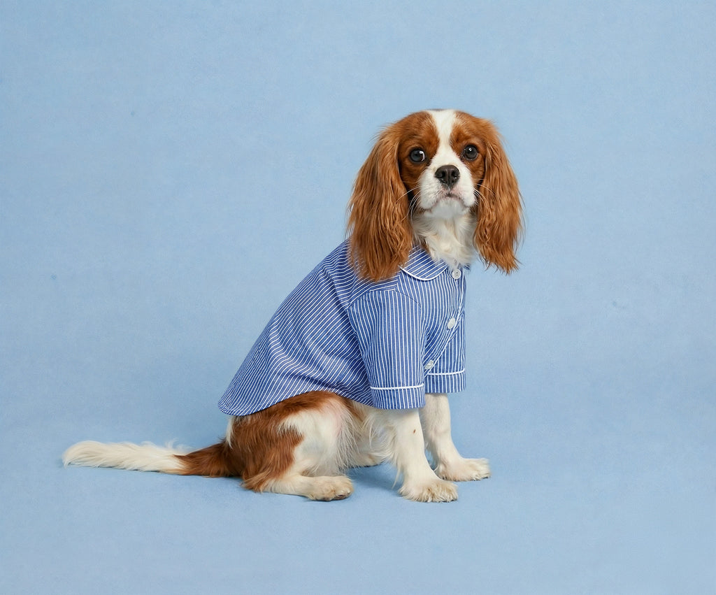 Oxford Pinstripe Dog Shirt